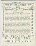 Black Game.