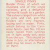Single pinks.