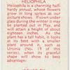 Heliophila.
