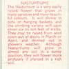 Nasturtiums.