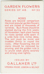 Roses.