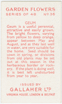 Geum.