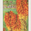 Garden flowers