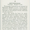 Antirrhinum.