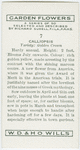 Calliopsis.