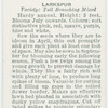 Larkspur.