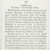 Lobelia.