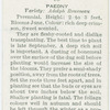 Paeony