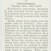 Penstemon