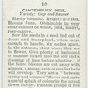 Canterbury bell.