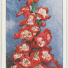 Penstemon