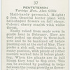 Penstemon