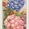 Verbena.