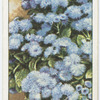 Garden flowers by Richard Sudell