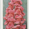 Garden flowers by Richard Sudell