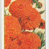 Garden flowers by Richard Sudell