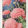 Garden flowers by Richard Sudell