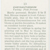 Garden flowers by Richard Sudell