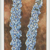 Garden flowers by Richard Sudell