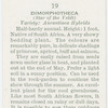 Garden flowers by Richard Sudell