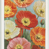Garden flowers by Richard Sudell