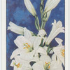 Garden flowers by Richard Sudell