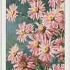 Garden flowers by Richard Sudell