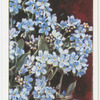 Garden flowers by Richard Sudell