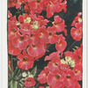 Garden flowers by Richard Sudell