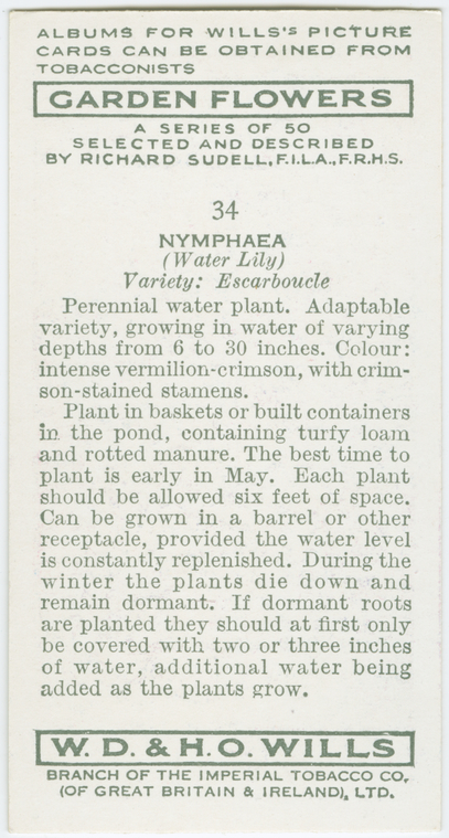 Index