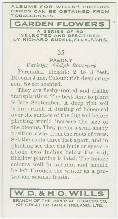 Index