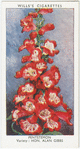 Garden flowers by Richard Sudell