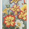 Garden flowers by Richard Sudell
