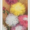 Garden flowers by Richard Sudell