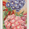 Garden flowers by Richard Sudell