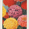 Garden flowers by Richard Sudell