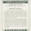 Aquilegia (Columbine).