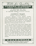 Calendula (Marigold).