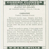 Garden flowers - new varieties