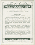 Garden flowers - new varieties