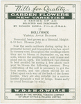 Hollyhock.