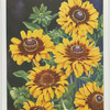 Rudbeckia (Cone Flower).