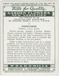 Cornflower.