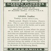 Linaria.