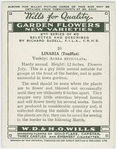Linaria.