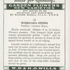 Matricaria eximia.