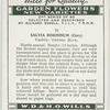 Salvia horminum.