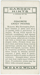 Concrete crazy paving.