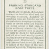Pruning standard rose trees.