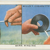 Bark ringing.